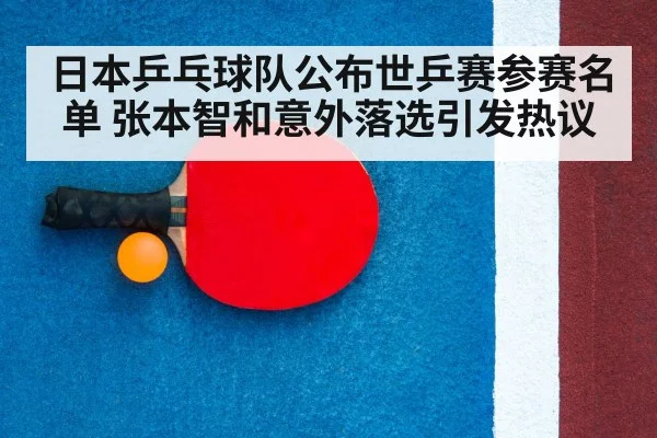 table tennis racket