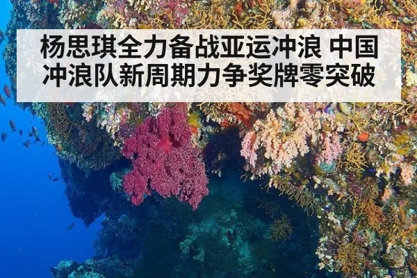 杨思琪全力备战亚运冲浪 中国冲浪队新周期力争奖牌零突破