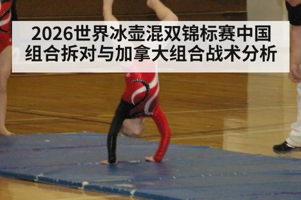 2026世界冰壶混双锦标赛中国组合拆对与加拿大组合战术分析